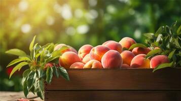 fresh peaches in a wooden box on a table AI Generative photo