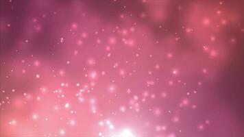 white glowing Particles on Magenta red Background. Glitter Particles and Shiny Particles background video