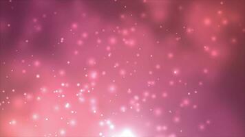 white glowing Particles on Magenta red Background. Glitter Particles and Shiny Particles background video