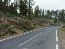 un la carretera con un blanco línea en eso en el medio de un bosque foto