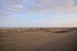 arena dunas en el Desierto a puesta de sol foto