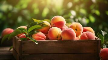 fresh peaches in a wooden box on a table AI Generative photo