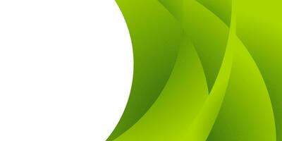 abstract green curve background for business vector