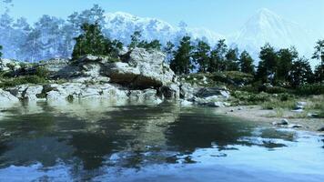 Blue water in a forest lake with pine trees video