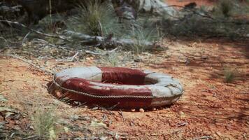 life ring buoy in desert beach video