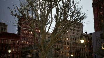 nieuw york stad straat Bij zonsondergang tijd video