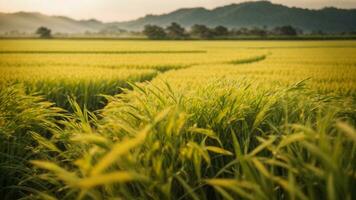 Close-up high-resolution image of a beautiful rice paddy field in a countryside. AI Generated. AI Generative. photo