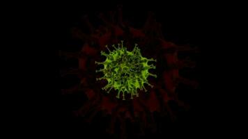 representación 3d corona virus covid-19 pandemia video