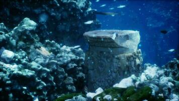 sunken remnants of old civilization coated in algae and coral on sea bed video