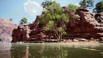 The reflection of the mountains in the River video