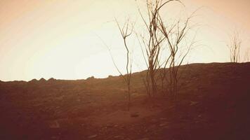 Storm of dust and sand in desert video