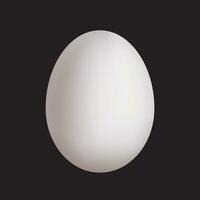 white egg isolated vector