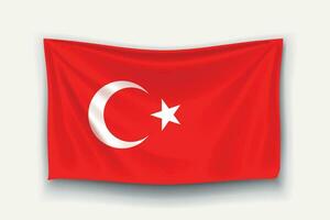 bandera de turquía vector