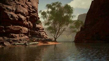 rio grande betritt den santa elena canyon video