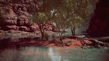 The Colorado river cutting through red sandstone canyons video