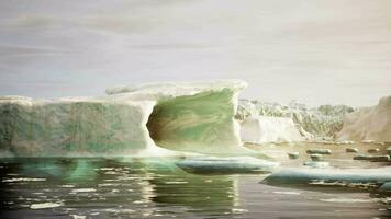 un amplio bajo ángulo ver de derritiendo mar hielo témpanos en todavía aguas de ártico video