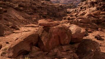 Panorama from bottom of Grand Canyon video