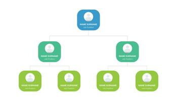 Organizational company structure template design vector