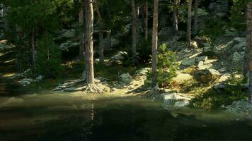 paisible Montagne oasis, avec une clair comme de l'eau de roche Lac et luxuriant verdure video