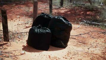 gros plan de sacs poubelle pleins sur le sable video