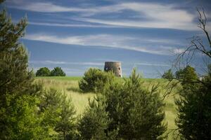 summer landscape poland photo