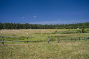 summer landscape poland photo