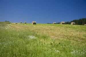 summer landscape poland photo