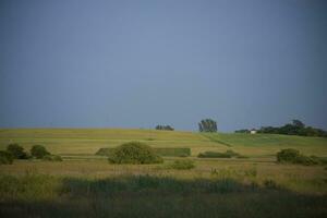 summer landscape poland photo