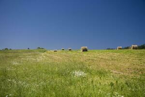 summer landscape poland photo