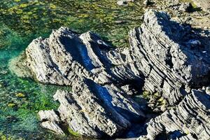 aerial view of rocky coastline with green algae photo