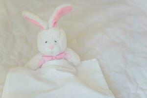 toy hare is in white bed. Soft toy bunny in children's role-playing games. photo