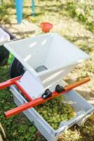 Mechanical juice for grapes. Making grape juice and wine at home. Business for duration of coronavirus quarantine. Winemaking. photo