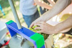 boy fills the grapes in a hand-made juice. Manual mechanism for crushing grapes. Crush the grapes into juice and wine. photo