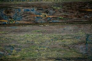 Background of old cracked wood in green and brown colors photo