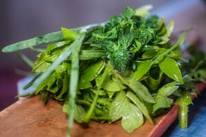 Vegetarian vitamin salad from first spring greens and wild herbs. Ingredients for home diet meal Aegopodium podagraria, Urtica dioica, Allium ursinum. Medicinal herb urtica dioica plant cooking food. Vegetarian vitamin salad from first spring greens and w photo