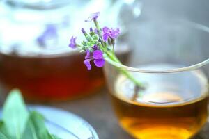 matthiola inca, brompton existencias, común existencias, canoso existencias, diez semanas existencias, y flor-gilly té con Fresco citas, cuales lata dar un antiséptico efecto, y esencial aceite, adicional ayuda para dolores de cabeza foto