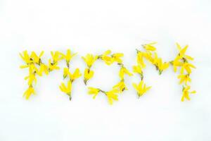 inscription Mama made of petals and buds MOM made of Forsythia, Easter tree yellow flowers on white background photo