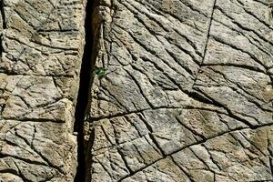 a rock formation with a large rock on top photo