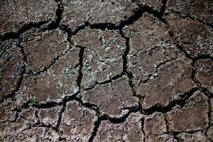 agrietado suelo de un seco lago. ecológico catástrofe carencia de agua en el estanque. lago cama el secado arriba debido a sequía. foto