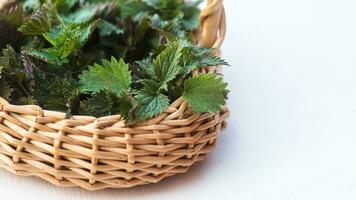 Collected in an environmentally friendly place nettles. Nettle bush in a wicker basket. Place for text. Copy space photo