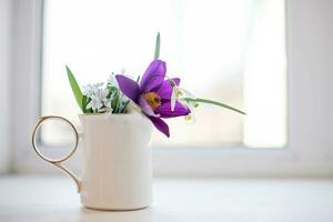 White ceramic jug with bouquet of primroses listed in the red book on the window. Poaching. Pulsatilla patens, Eastern pasqueflower, prairie crocus, cutleaf anemone, Scilla, snowdrop torn fresh. photo