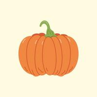 Pumpkin Flat illustration, autumn harvest, farming illustration vector