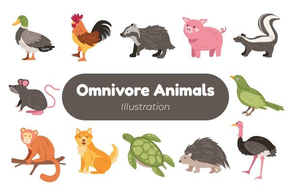 adorable omnivore animal illustration set