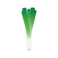 Spring onions vector. Spring onions on white background. vector