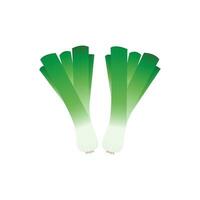 Spring onions vector. Spring onions on white background. vector