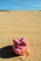 pink piggy bank in the desert photo