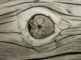 close up of a wooden plank with a hole in it photo