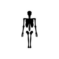 Radiography icon on white background vector