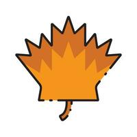 maple leaf thanksgiving icon vector