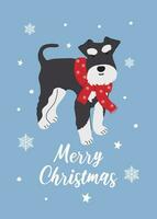 Christmas Miniature Schnauzer in hand drawn style. Greeting text Merry Christmas. Beautiful illustration for greeting cards, posters and seasonal design. vector